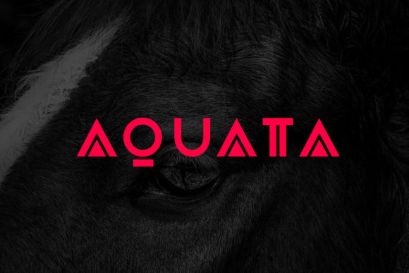 Aquata Font Review: A Modern Sans Serif for Bold Branding