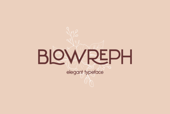 Blowreph: The Minimalist Sans Serif for Campaigns