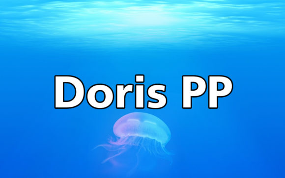 Doris PP: A Stunning Sans Serif Font for Web Design