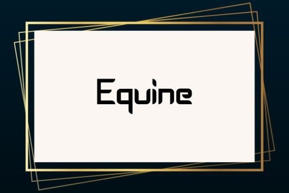Equine: A Modern Sans Serif Font for Web Design