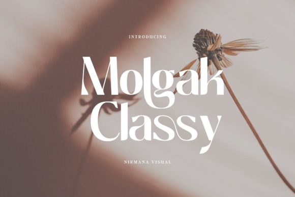 Molgak Classy: A Modern Sans Serif for Web Design