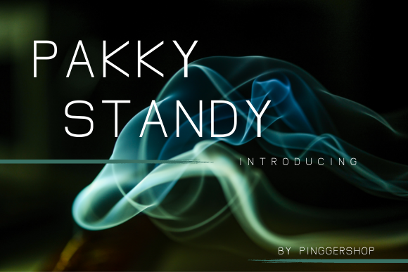 Pakky Standy: A Modern Sans Serif Font for Editors